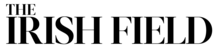 Logo rebrand